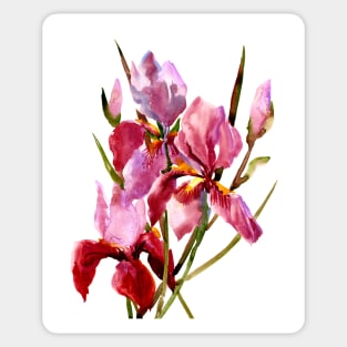 Burgundy Red Iris FLowers Sticker